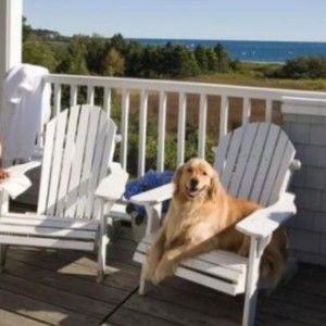 Meet your Posher, Tamara